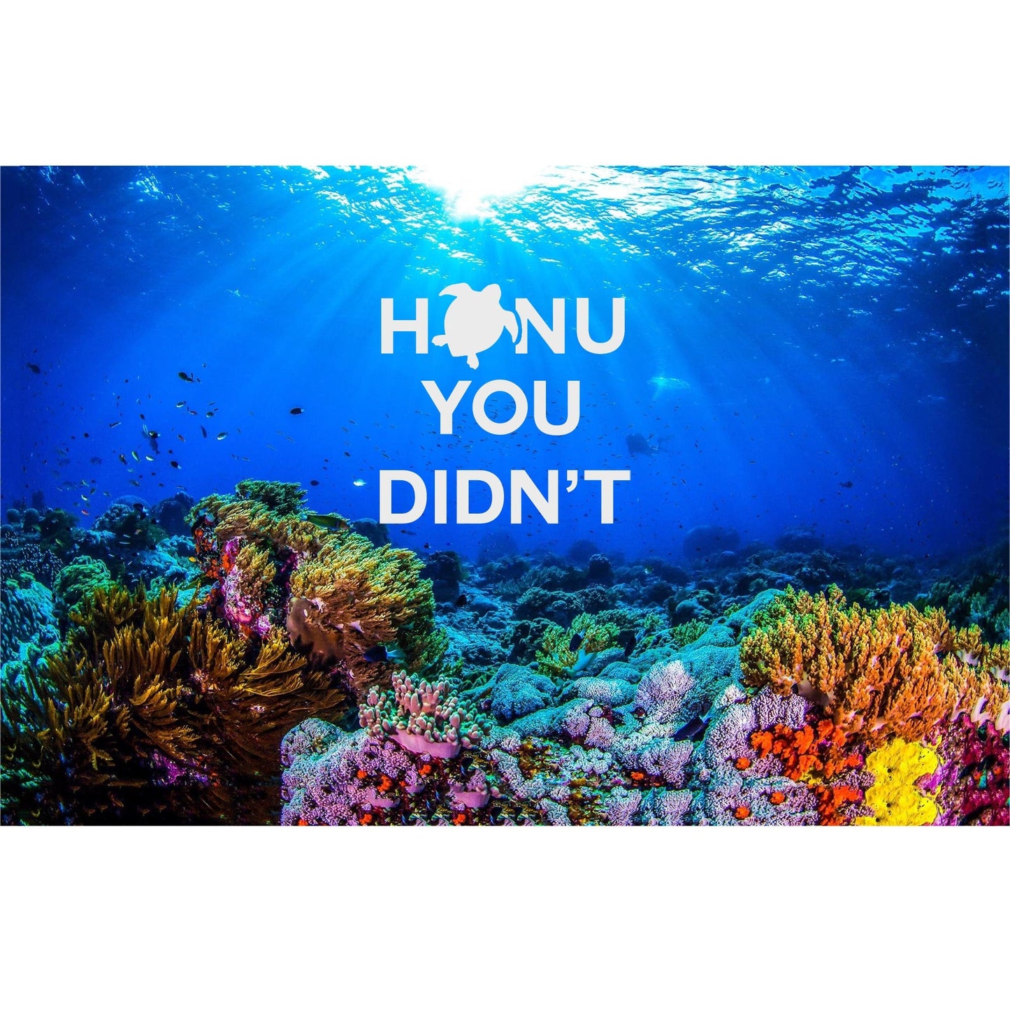 Honu You Didn't Decal