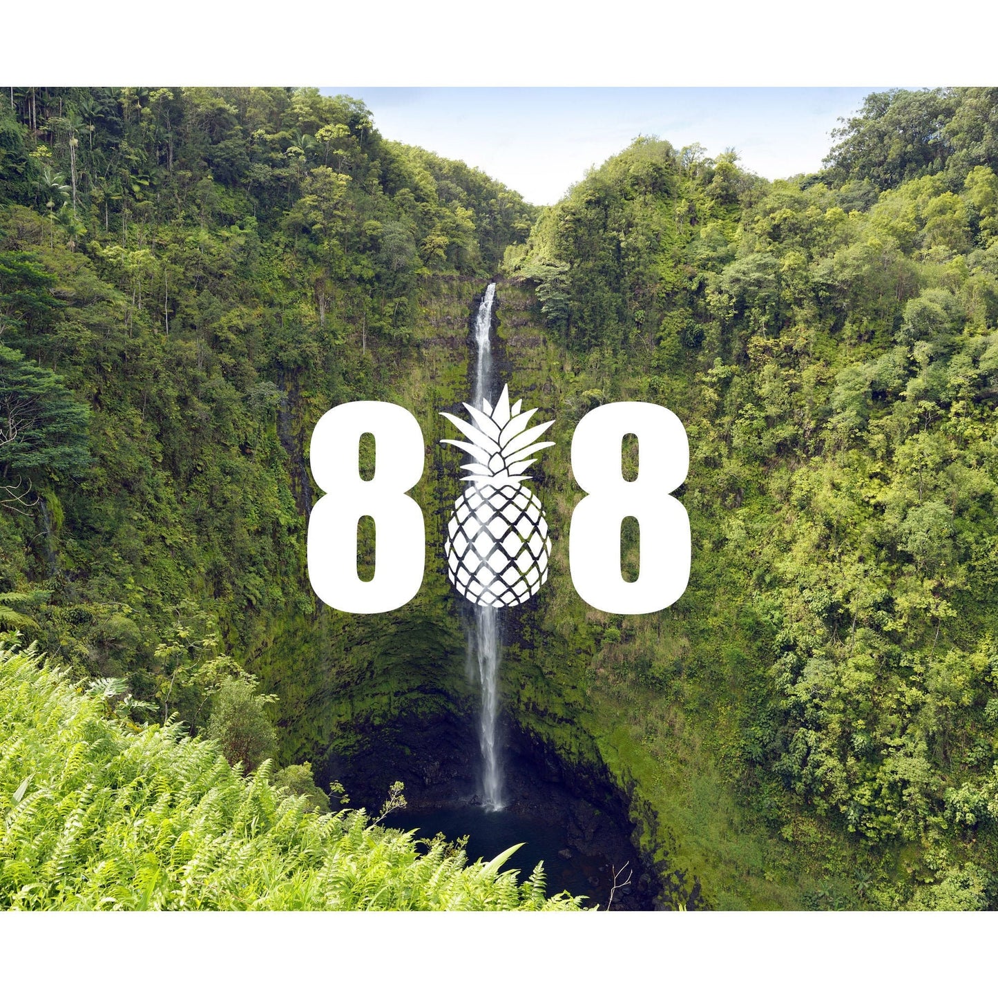 808 Pineapple Decal